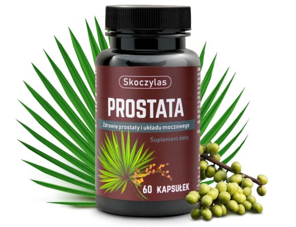 Prostata